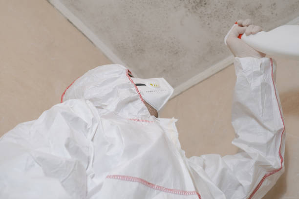 Mold Testing and Removal in Jekyll Island, GA